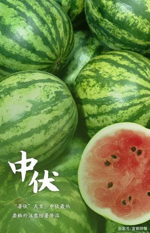 中 伏‖文图/赵京江，书法/太行山人武功（图7）