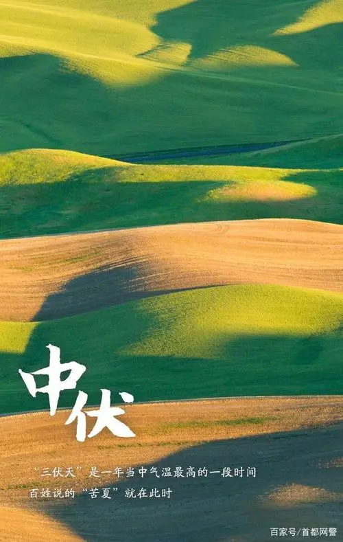 中 伏‖文图/赵京江，书法/太行山人武功（图2）