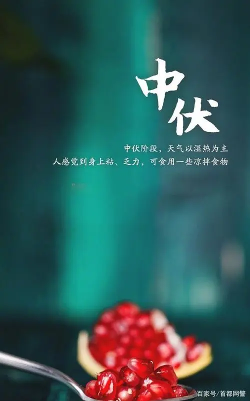 中 伏‖文图/赵京江，书法/太行山人武功（图3）