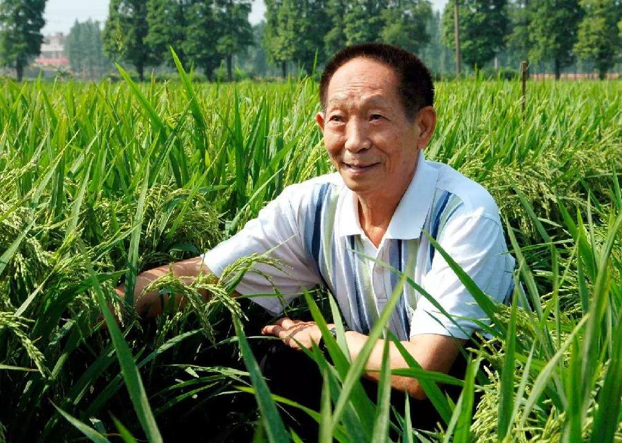张学超壬寅七月下旬感怀三章丨金牌主播吉祥如意丨中国江苏泗洪都市文学社100期（图3）