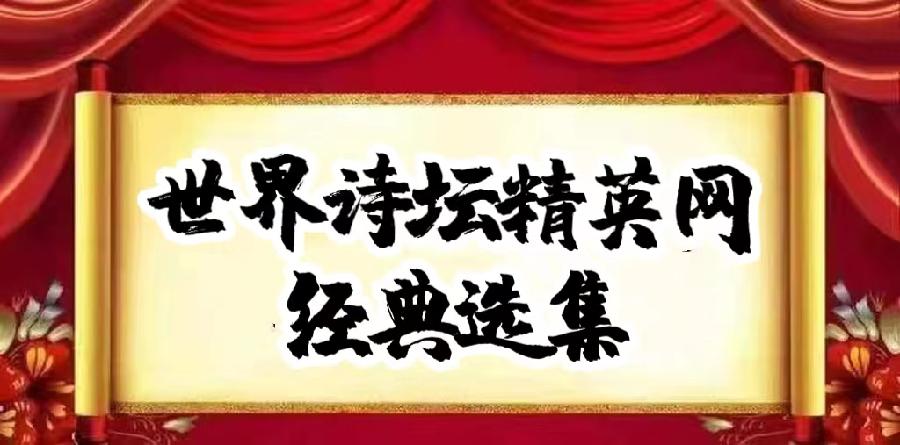 世界诗坛精英网*有声专刊Ⅱ金V诗人:刘淑芹《等你回家》主播:琼林玉枝(图2)