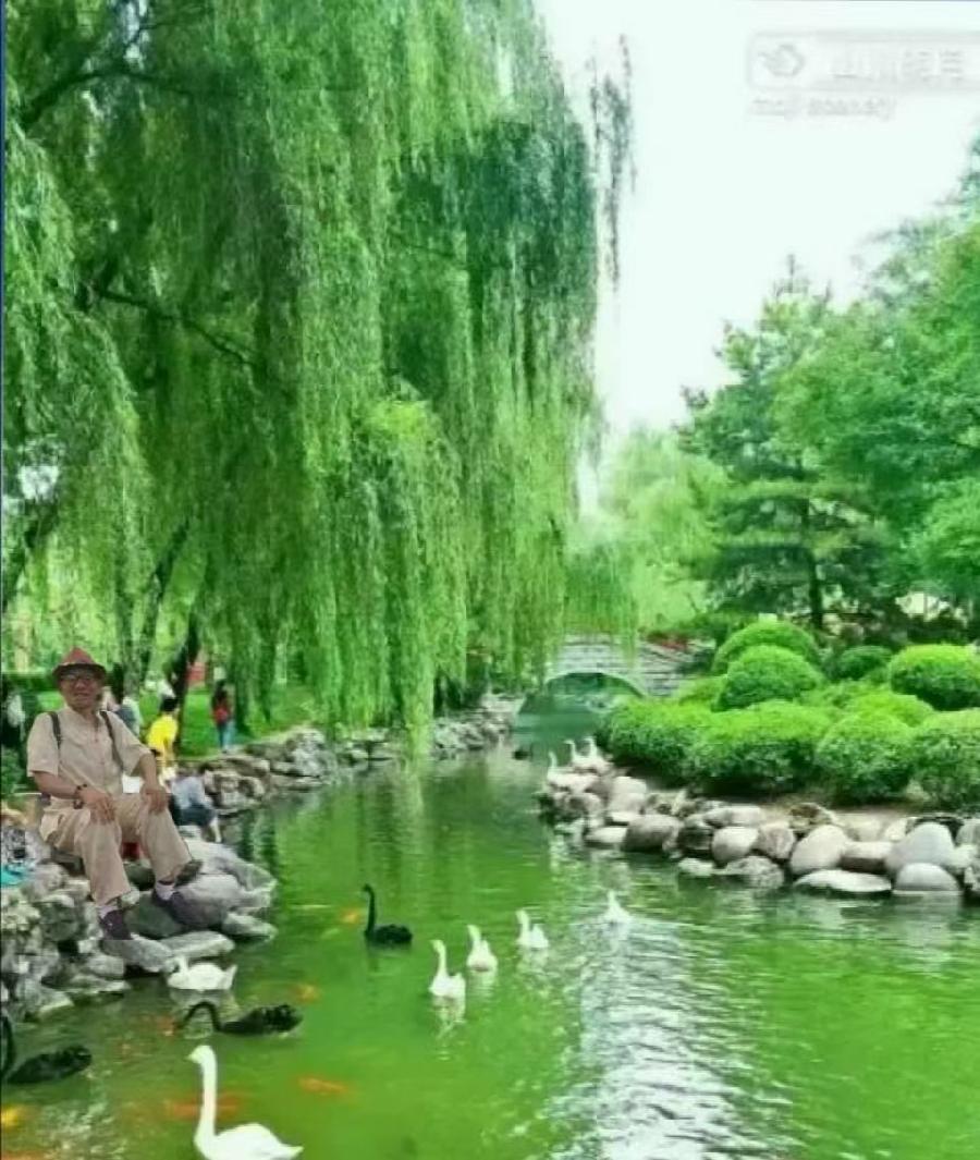 王楼老师诗词专辑（图4）