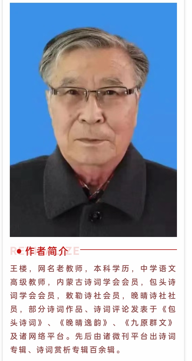 王楼老师诗词专辑（图11）