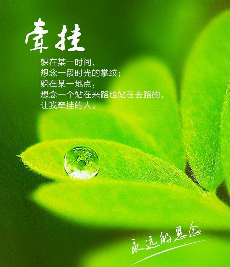 弘华朗诵【牵挂】（之三）作者/蓝波