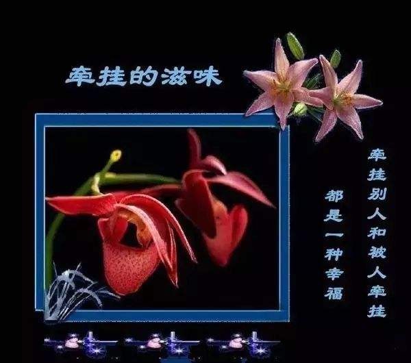 弘华朗诵【牵挂】（之三）作者/蓝波（图4）