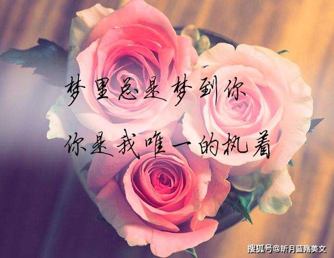 弘华朗诵【牵挂】（之三）作者/蓝波（图6）