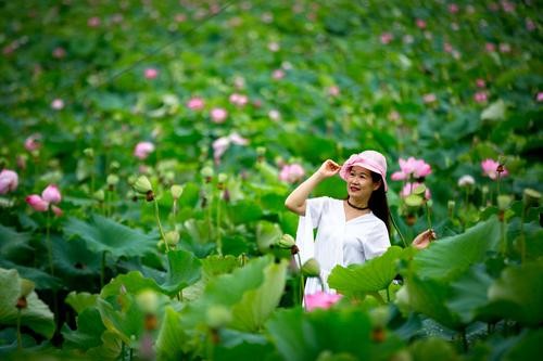 【经典推荐】杜爱莲老师//观荷塘作品展｛四首｝（图11）