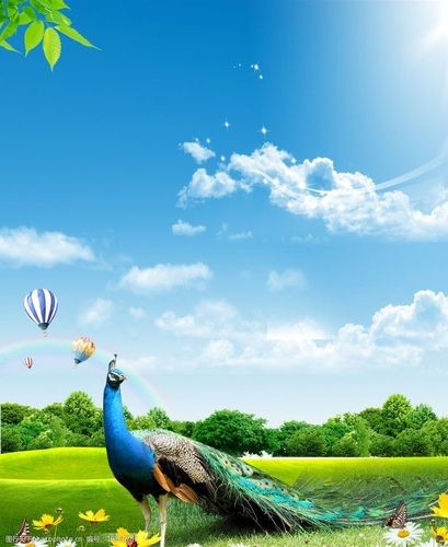 【经典推荐】杜爱莲老师//观荷塘作品展｛四首｝（图8）