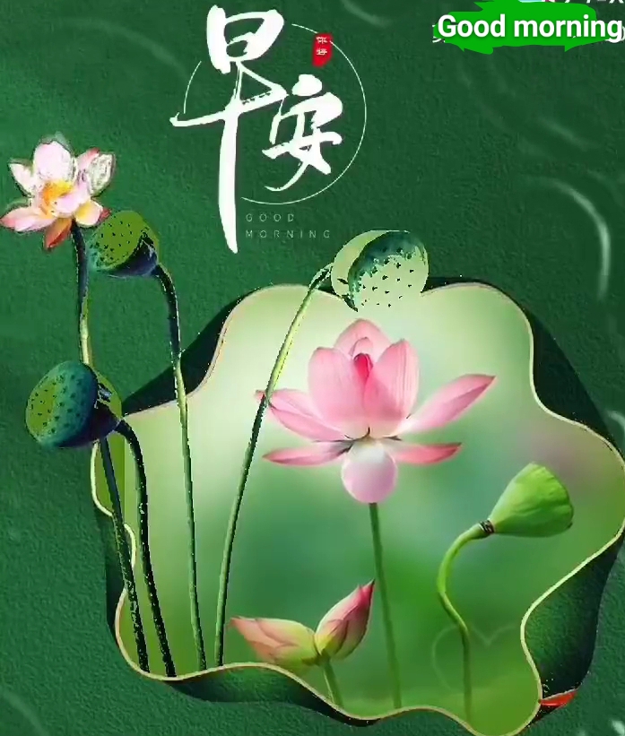 林耀平引人深思《心善缔生王道》丨韵芘胡桂芹感怀二章丨中国桂林都市文学社758期（图2）