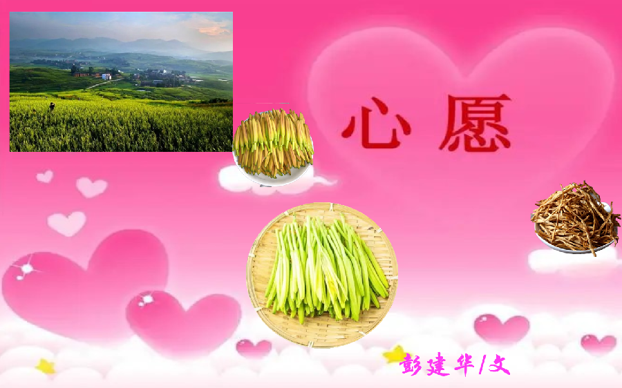  【福建闪小说★“汉连杯”佳作选（25）】《心愿》（征文作品）彭建华 闪小说