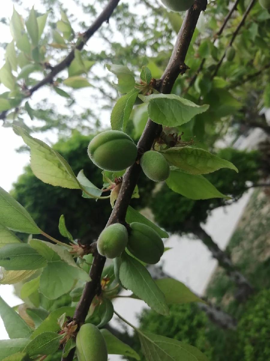 方台钓韵(图4)