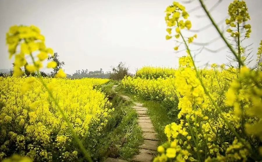 方台钓韵(图6)