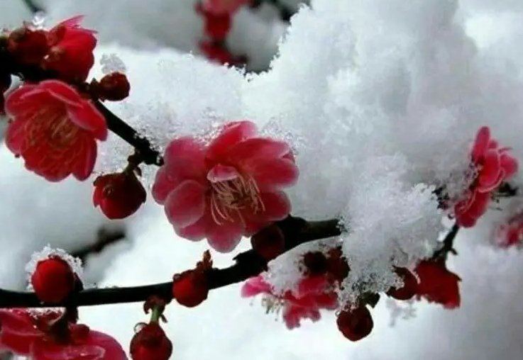 林耀平引人深思《心善缔生王道》丨韵芘胡桂芹感怀二章丨中国桂林都市文学社758期（图12）