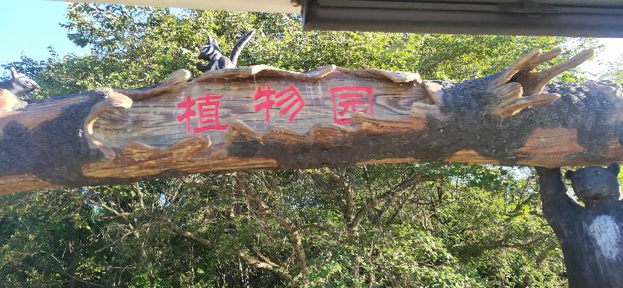 贾兆春:嘉荫之旅(图8)