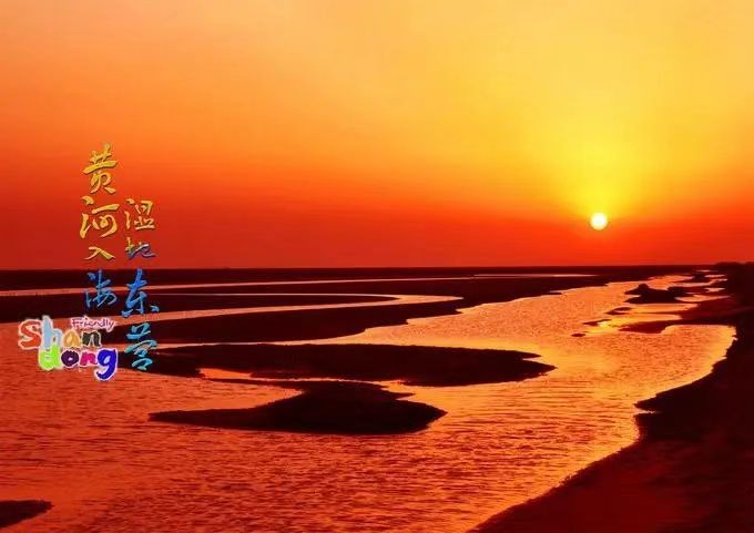 题阁-黄河入海口东营 （外一首）文/小茶一丛（图3）