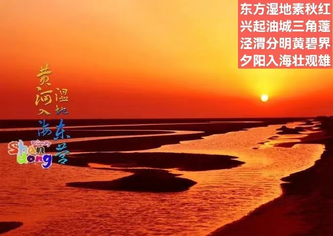 题阁-黄河入海口东营 （外一首）文/小茶一丛（图4）