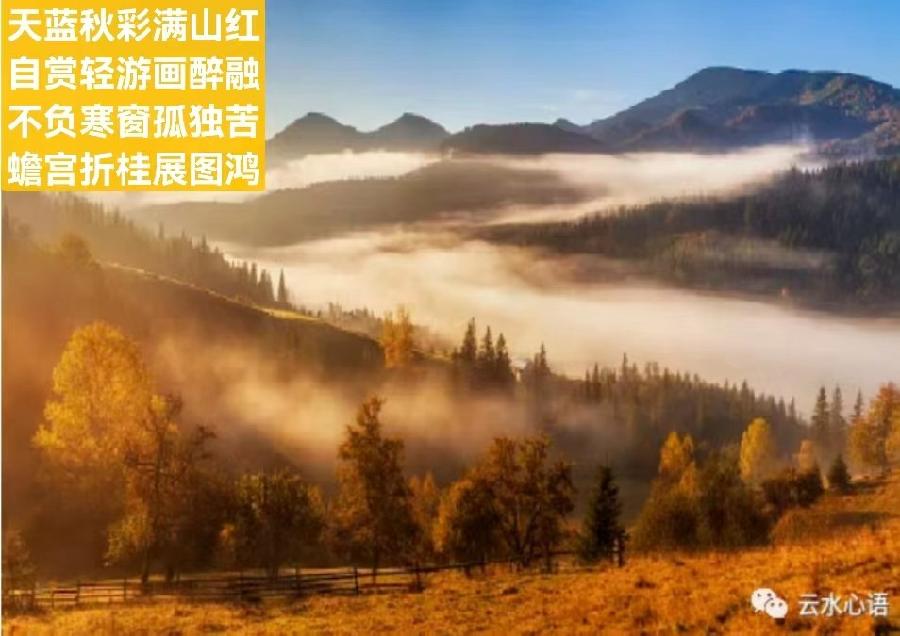 题阁-黄河入海口东营 （外一首）文/小茶一丛（图6）
