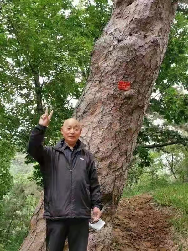 诗人北山虎现代诗《今日菜畦》