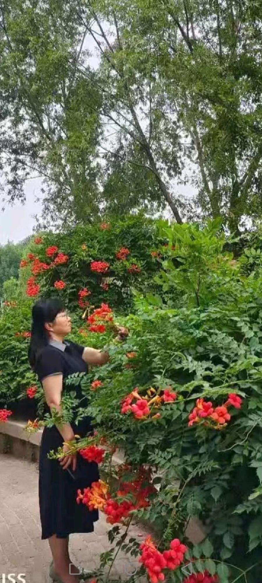 童年的夜 文/雨后彩虹 (山东茌平)(图3)