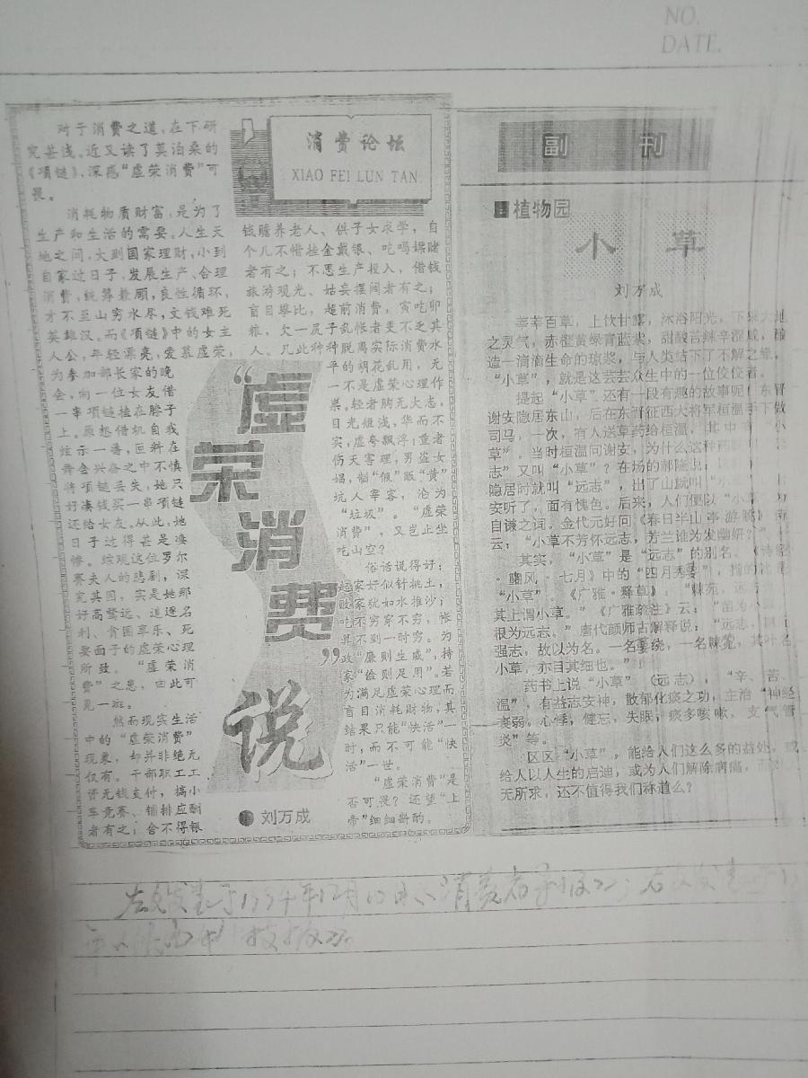 “虚荣消费”说
