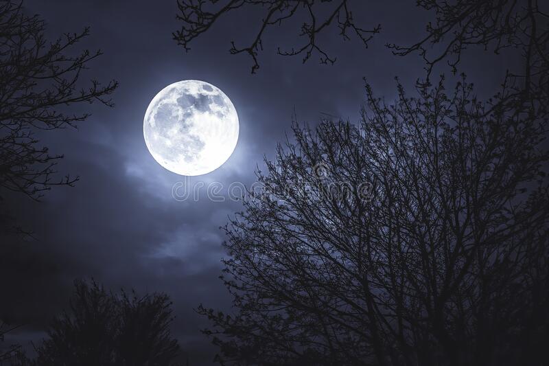 【海外诗译】精品双语合诵《黑夜悲情》文｜贾金桃、译｜静好、审｜任诚刚、合诵｜面对大海、上善若水和薇薇（图3）