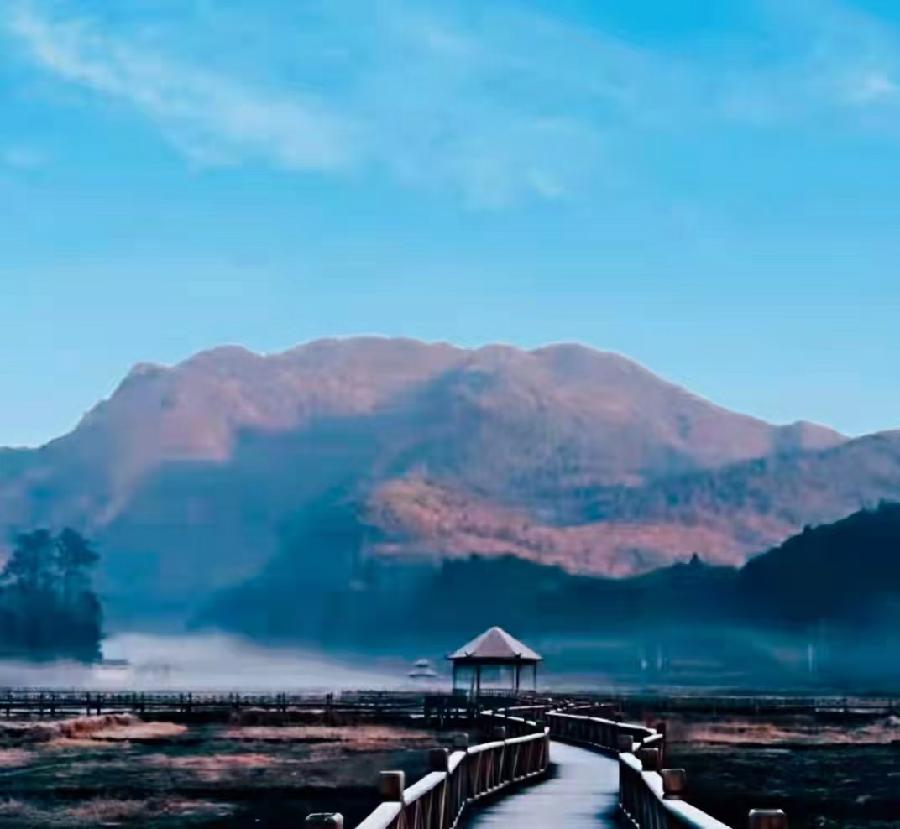 《北美翰苑散文诗社》（图16）