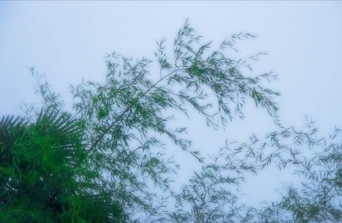 《北美翰苑散文诗社》（图25）