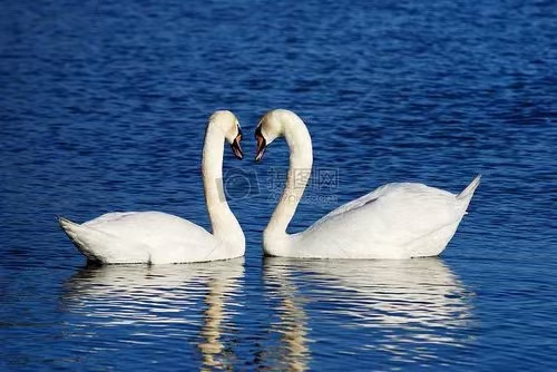 《北美翰苑散文诗社》（图29）