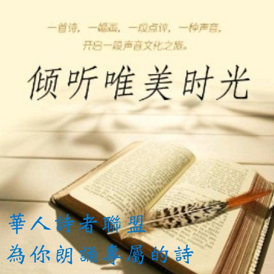 《凝望》作者: 子楚【诵读:金牌主播 李秀波】【华人诗者联盟】[诗者★雅声]总第二百六十九期♬（图7）