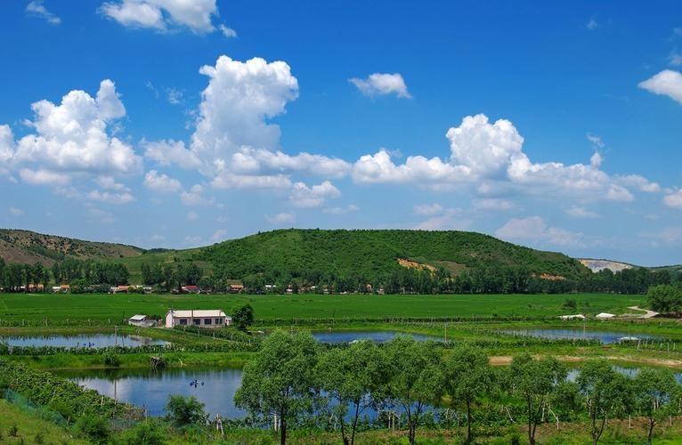 【经典推荐】曹南强//喝火令•农村夏景｛外四首｝（图3）