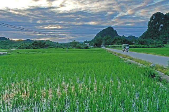 【经典推荐】曹南强//喝火令•农村夏景｛外四首｝（图8）