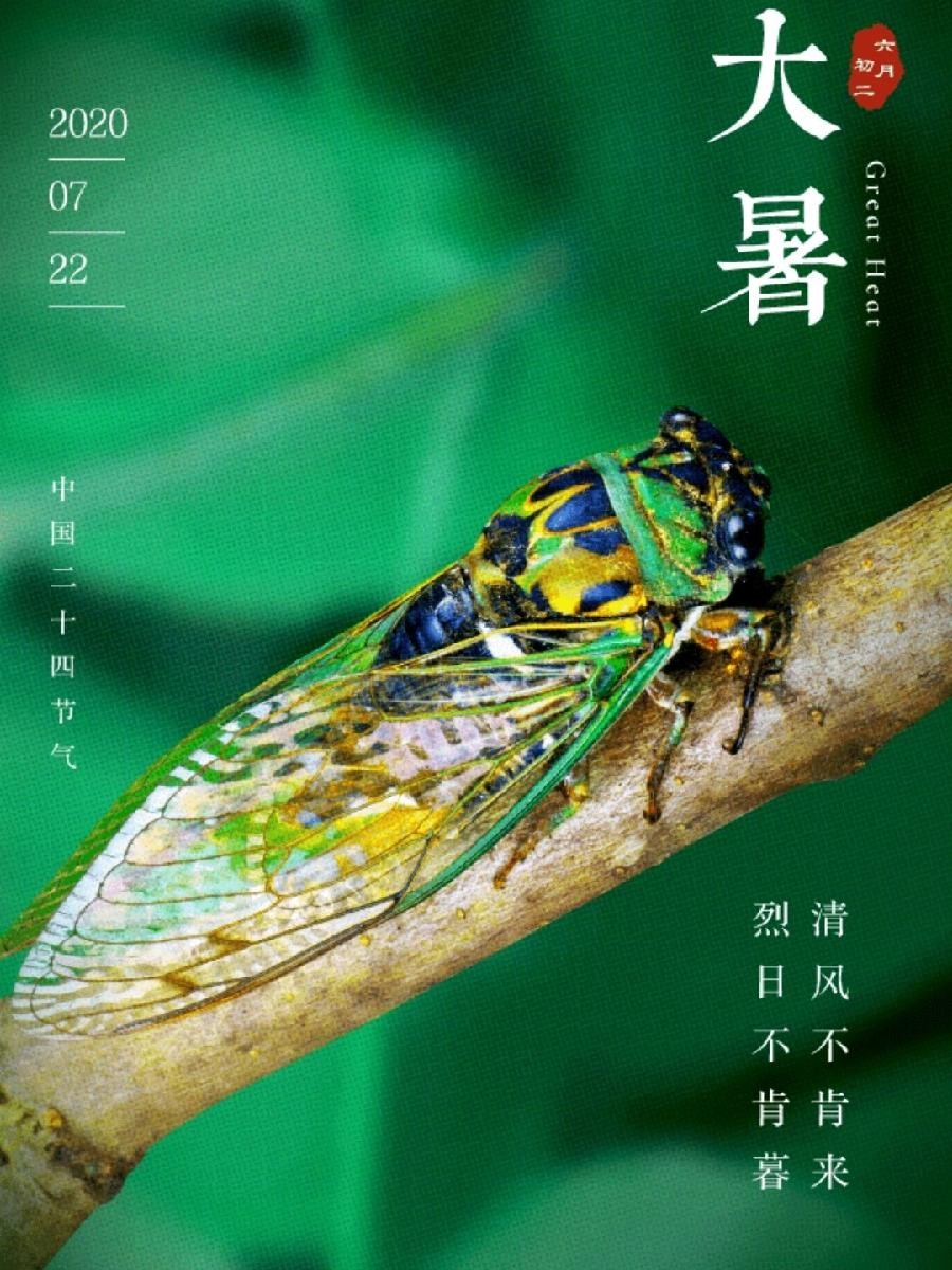 【精英专刊】【九江文学社：北京头条】《咏夏 五绝四首》文/杨学是（图3）