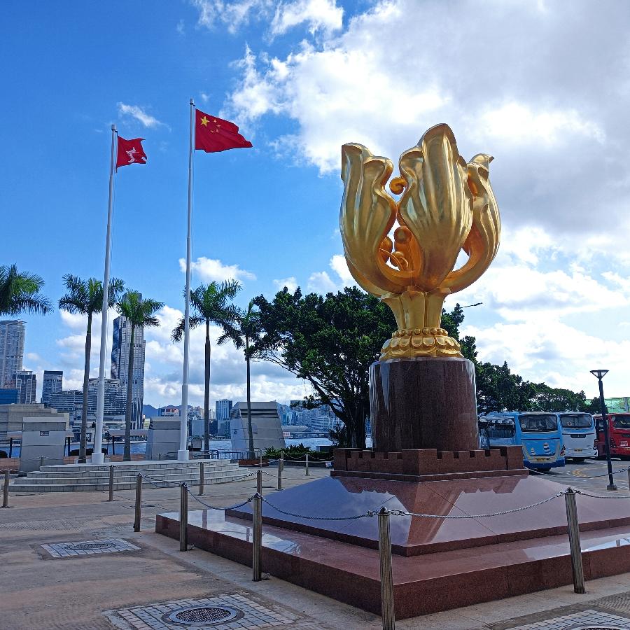维多利亚港随拍(图28)