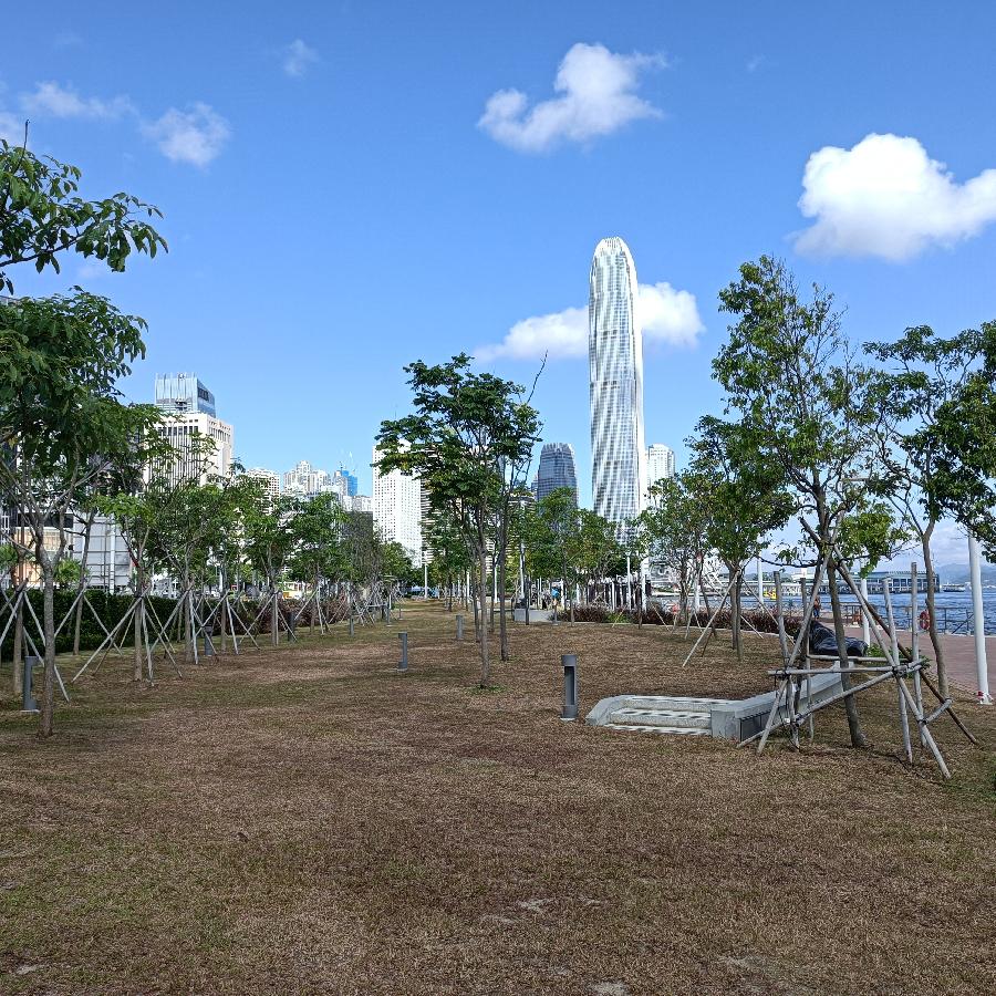 维多利亚港随拍(图67)