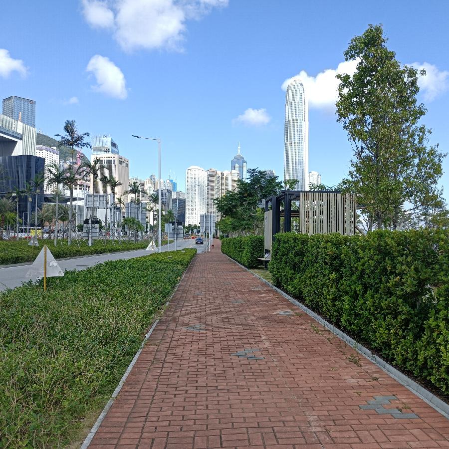 维多利亚港随拍(图71)