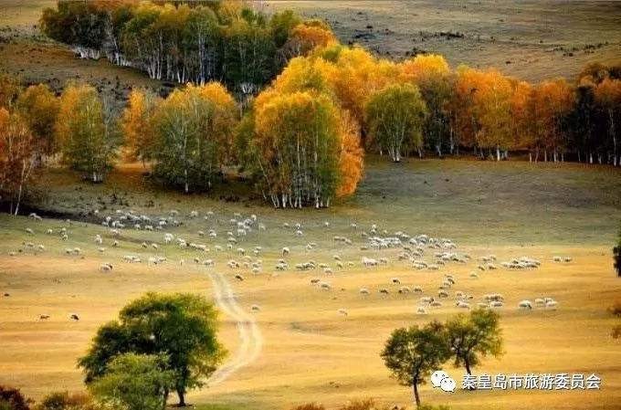 七绝四首（新韵）王新华（一片云）河北【冰心文化传媒】主编 冰心（图5）