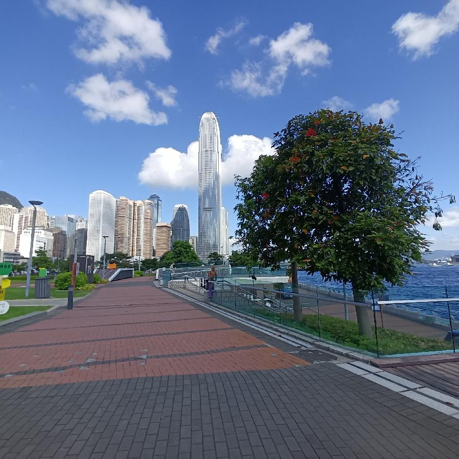 维多利亚港随拍(图102)