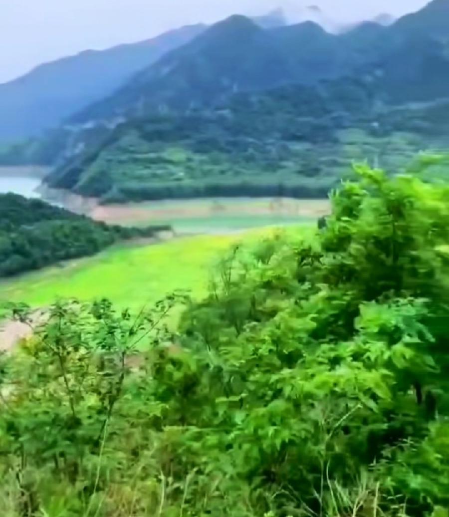 [北京头条]吉林诗人李洪安老师的佳作/我在站长兼党支部书记岗位上最后四年的记录（图19）