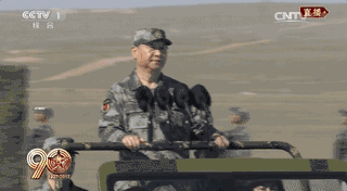 dTL8-fyinvys9207637.gif