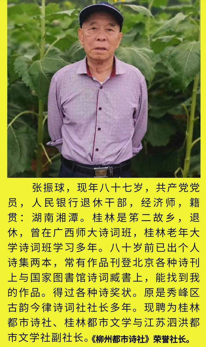 张振球豪情澎湃建军节诗词六首丨金牌主播细细的雨丨中国桂林都市诗社760期(图5)