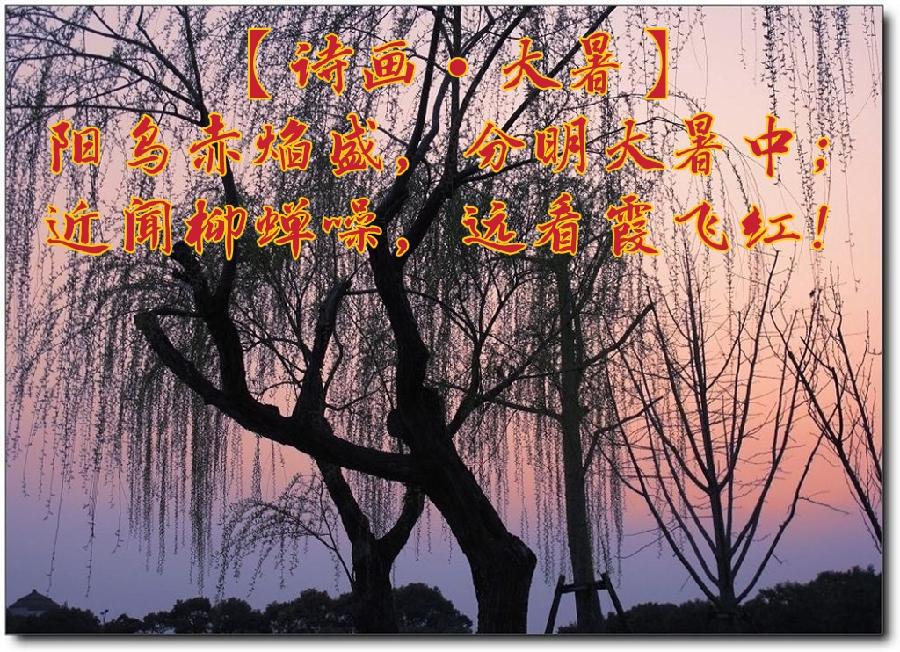 【诗画•大暑】