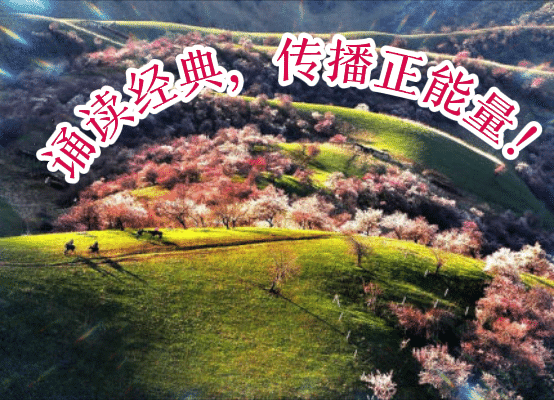 《我驾战鹰巡宝岛》作者：仲人 诵读 ：贝文编辑：宋梅【中国长江文学社】有声文学平台第4131期（图2）