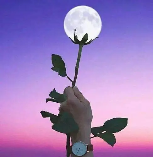 [桃源国际诗歌馨声]如果我是你的月亮|作者:月朗风清（河南）诵读:芳草青青[总1140期]（图7）