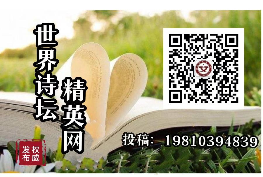 世界诗坛精英网*有声专刊Ⅱ金V诗人:刘淑芹《等你回家》主播:琼林玉枝(图11)