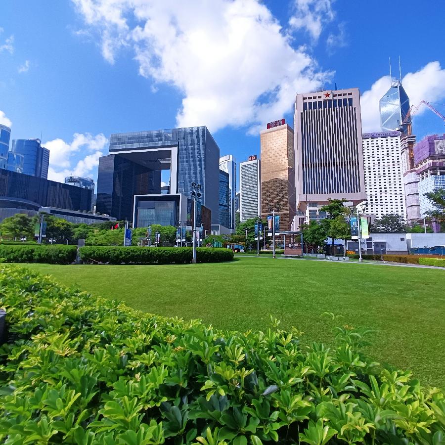 维多利亚港随拍(图105)