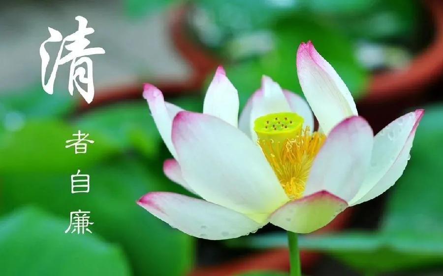 苏开省老师寓言《烟和酒》主播:牧歌 编辑:小鱼儿 【北疆头条】(第257期)(图2)