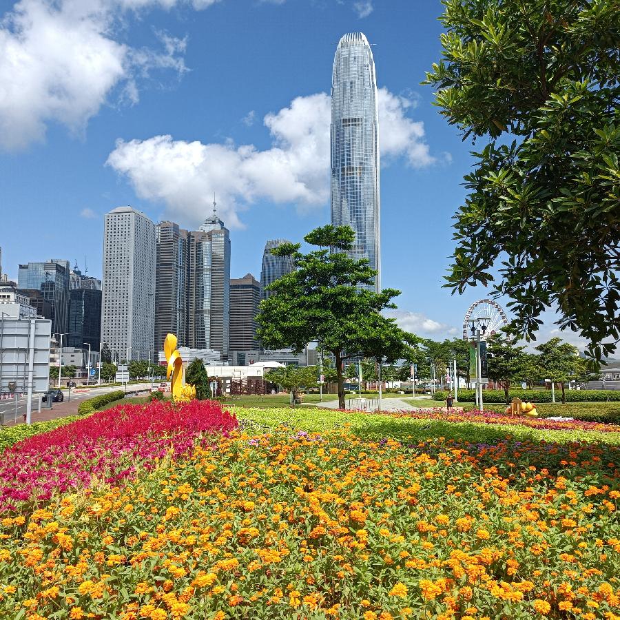 维多利亚港随拍(图161)