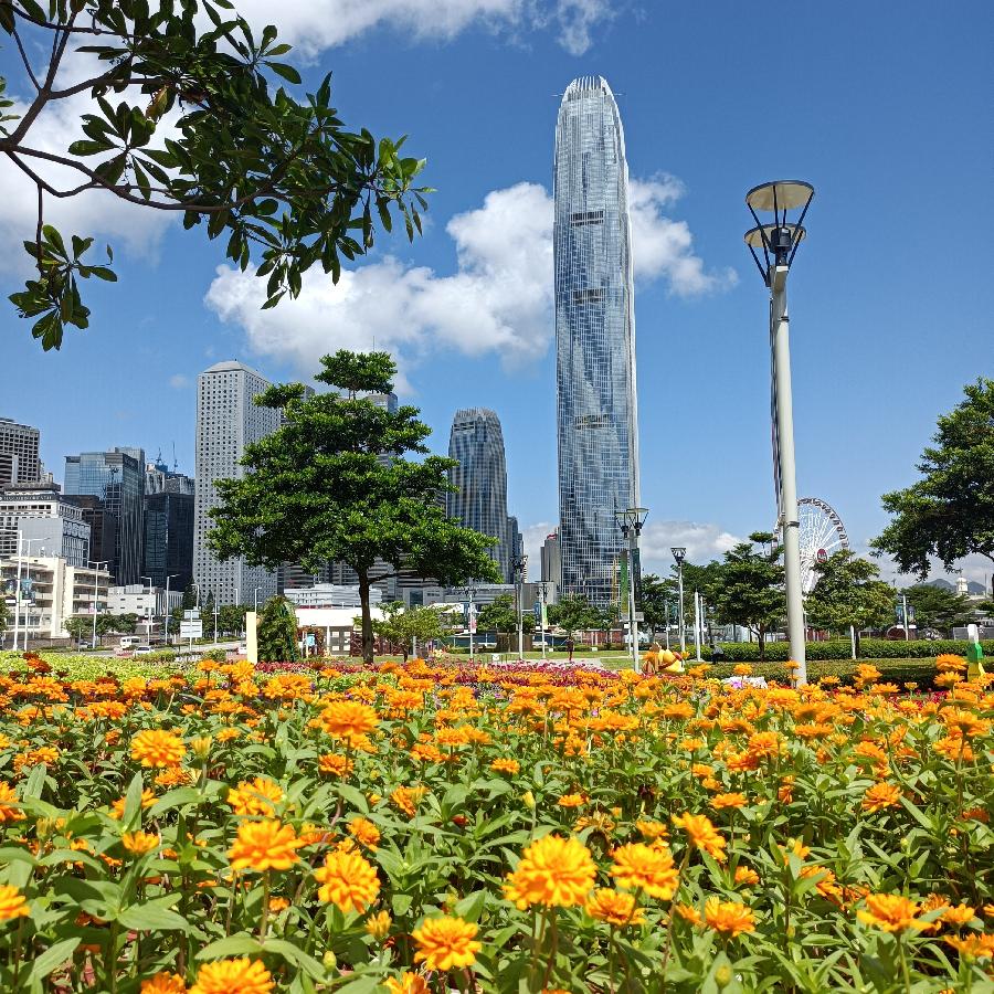维多利亚港随拍(图160)