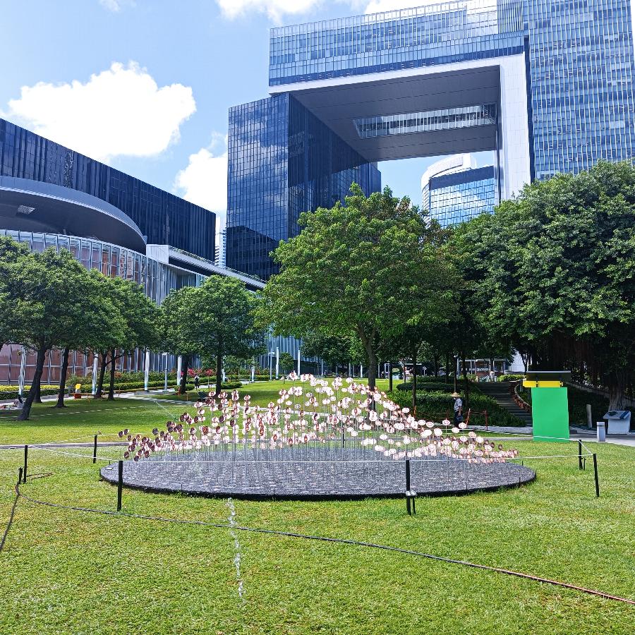 维多利亚港随拍(图163)