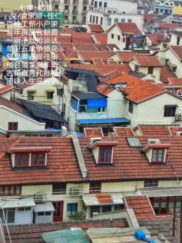 袁家顺-佳仁（上海）文/朱继奋文／陶峰〔三人组诗〕【冰心文化传媒】（图4）